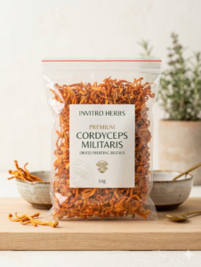 Cordyceps Militaris